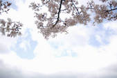 tkf001_798883
