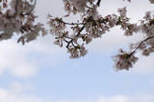 tkf001_798900