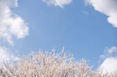 tkf001_798954
