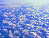 tkf001_798978