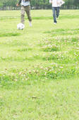 tkf001_799077