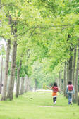 tkf001_799079
