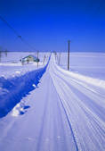 tkf001_799131