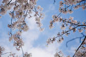 tkf001_799190