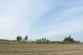 tkf001_799613