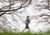 tkf001_799655