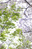 tkf001_799665