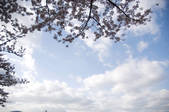 tkf001_800353