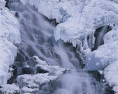 tkf001_809260
