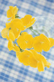 tkf001_811130