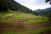 tkf001_811218