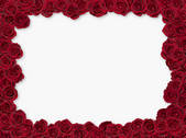 tkf001_815679