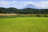tkf001_817497