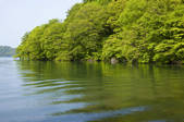 tkf001_820364