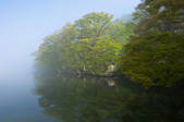 tkf001_820365