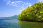 tkf001_820377