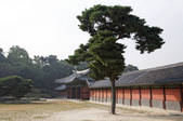 tkf001_822691