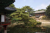 tkf001_822695