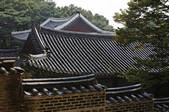 tkf001_822696