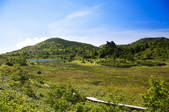 tkf001_826848