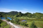 tkf001_826849