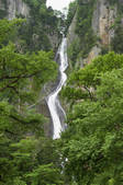tkf001_830768