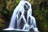 tkf001_553229