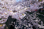 tkf001_553430