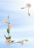 tkf001_562061