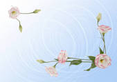 tkf001_562062