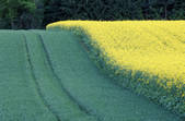 tkf001_648537