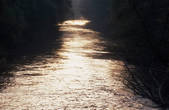 tkf001_651985