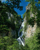 tkf003_105668