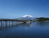 tkf003_119237