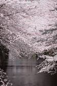 tkf003_119578