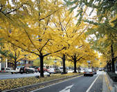 tkf003_124966