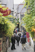 tkf003_133601