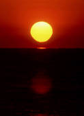 tkf003_134171