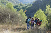 tkf001_890299