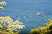 tkf001_895700