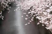 tkf003_142151