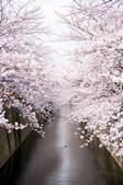 tkf003_148707