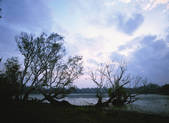 tkf003_150454