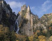 tkf003_153573