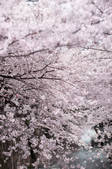 tkf003_155846