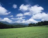 tkf003_174005