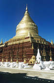 tkf003_348813