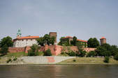 tkf003_388493