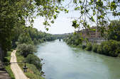 tkf003_393062