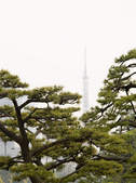 tkf003_393136